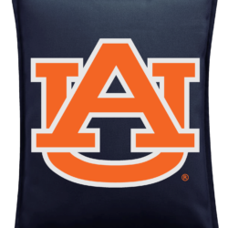 Auburn